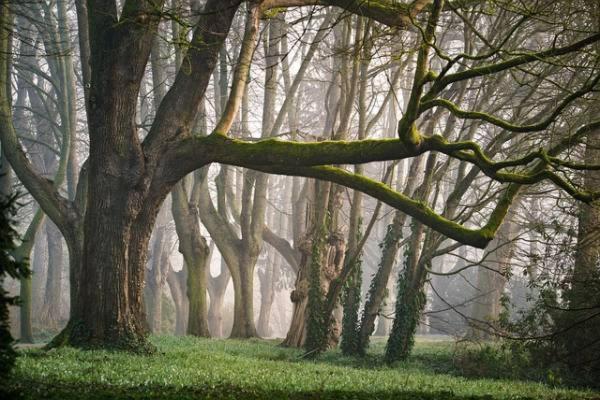 Nieuw: Kom In De Bedstee Uniek! Winterswijk Kültér fotó